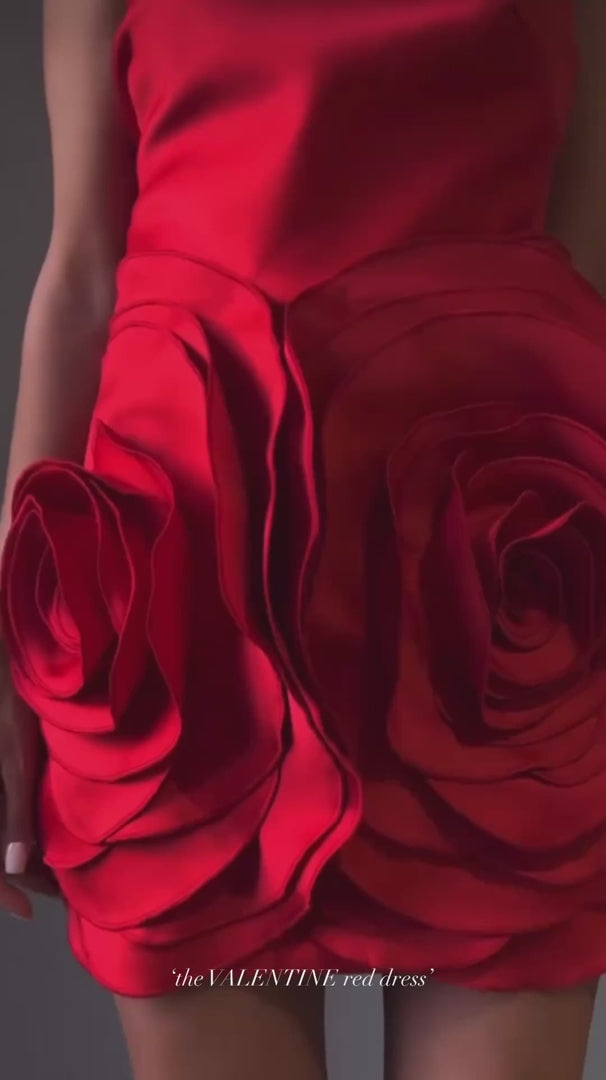 VALENTINE MINI DRESS